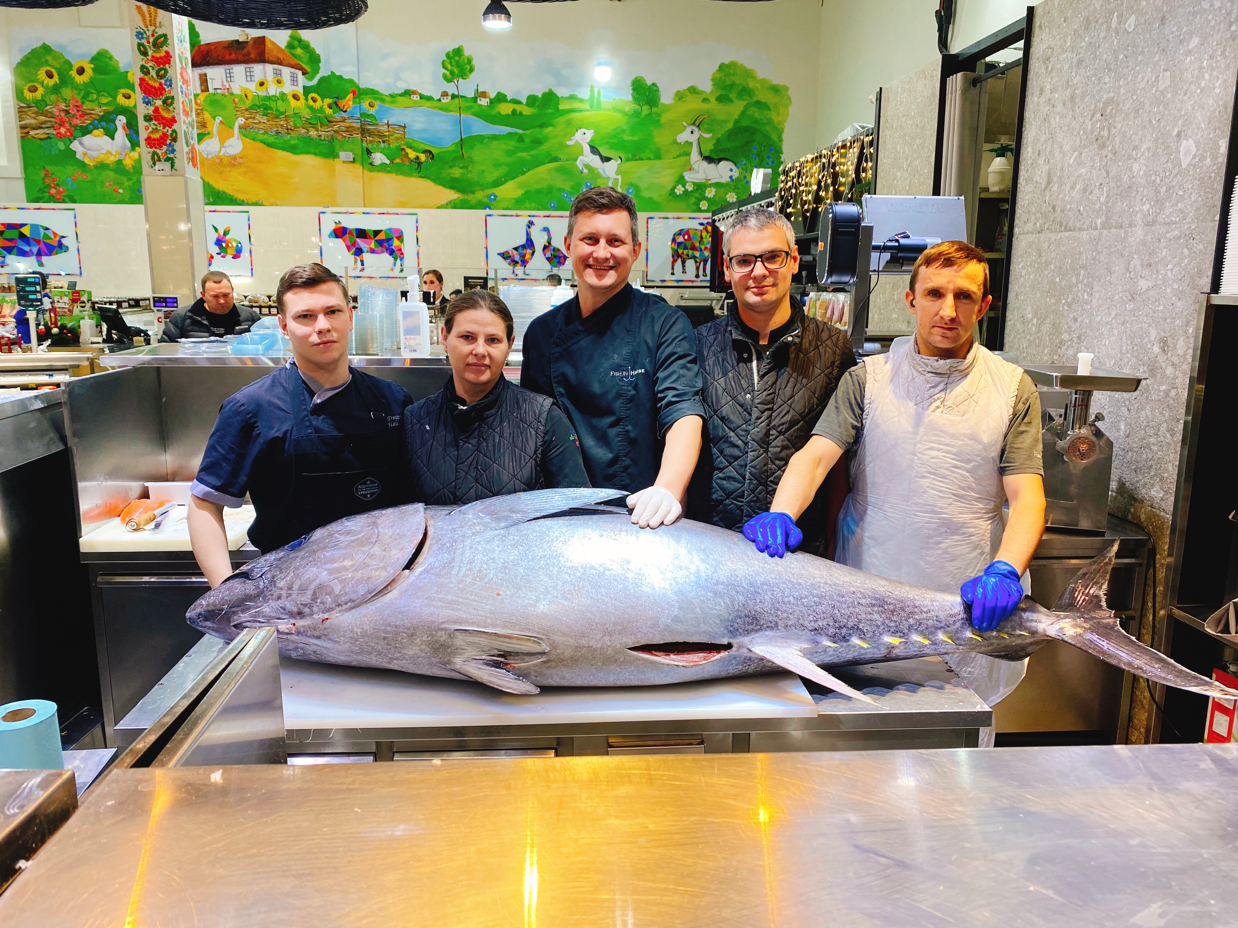 Zespół kucharzy przygotowuje dużego tuńczyka błękitnopłetwego do sushi i sashimi