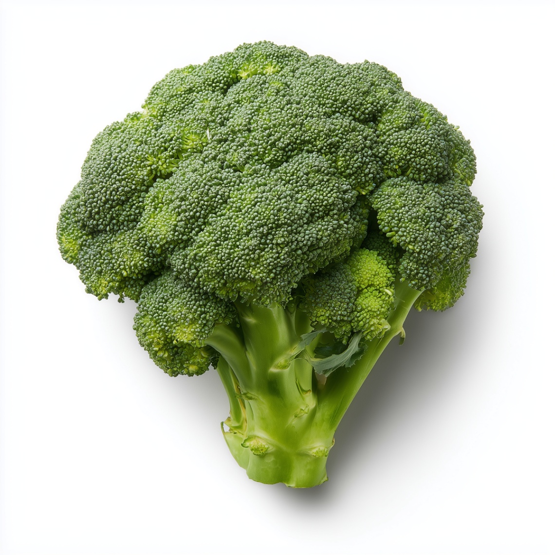 Brokuł Na parze