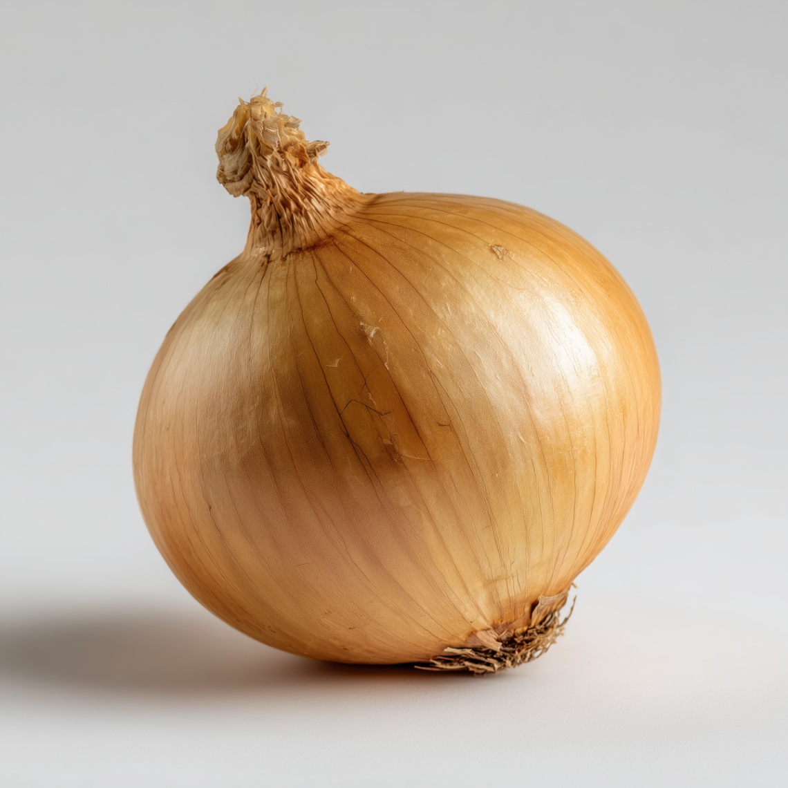 Onion